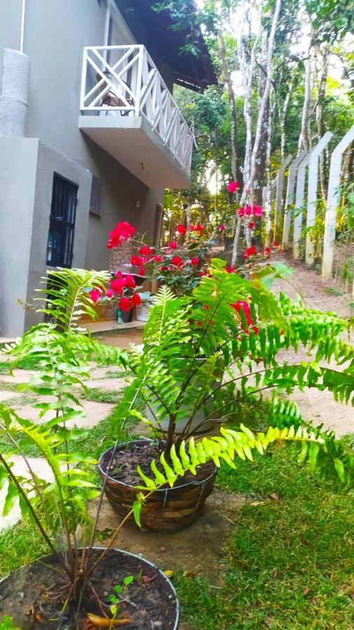 Vila Mulungu Casa Villa Ngoại thất bức ảnh